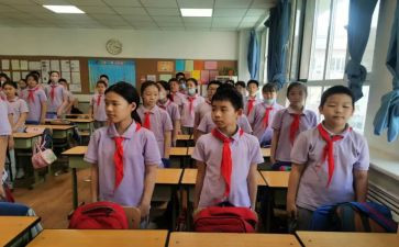 小学队会活动总结5篇