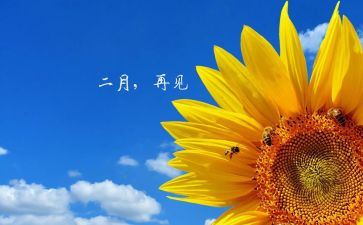 二月幼儿园工作计划7篇