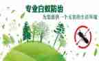 2023肿瘤防治宣传周活动总结6篇