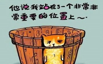 先有蛋教案反思6篇