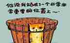 先有蛋教案及反思优秀6篇