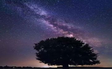 读繁星读后感200字7篇