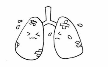 幼儿园关于肺的教案6篇