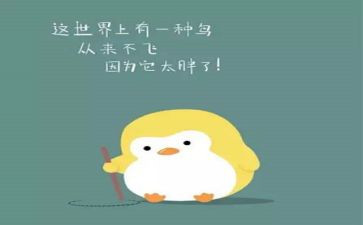 化肥种子购销合同6篇