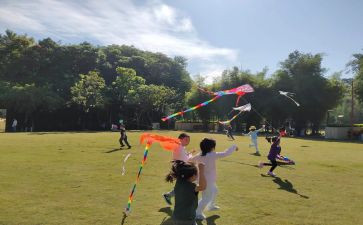幼儿园风筝节活动方案7篇