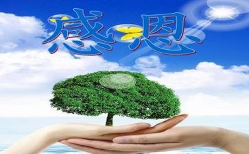 感恩主题活动总结7篇