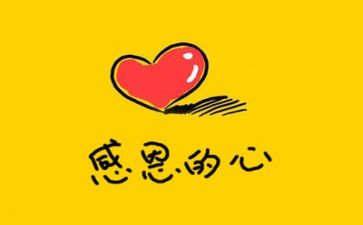 感恩心作文800字精选7篇