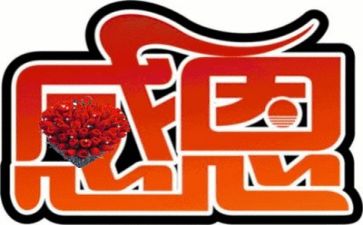 感恩2024的作文模板8篇