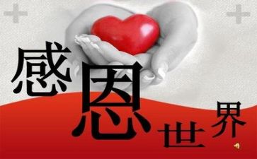教师的感恩心得体会8篇