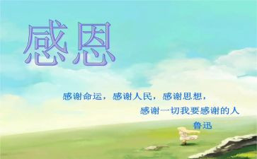 感恩账的心得体会5篇