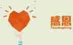 教师的感恩心得体会最新7篇