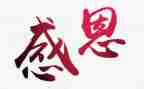 感恩的总结报告7篇