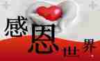 教师的感恩心得体会8篇