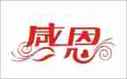 作文感恩800字精选6篇