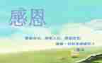 感恩节主题教案模板6篇