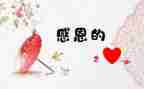 对老师感激的作文7篇