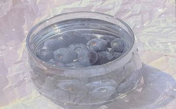爱干净的狗作文通用6篇