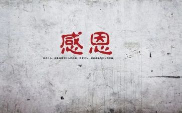 感恩感谢类作文优质5篇