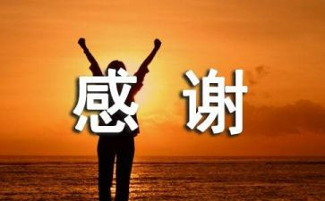 感谢老师演讲稿最新8篇