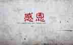 感恩感谢类作文优质5篇