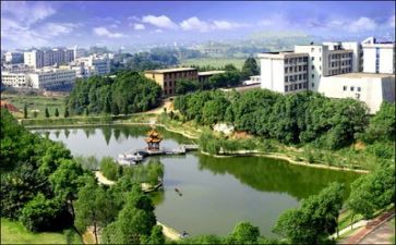 2023高校教师心得体会模板6篇