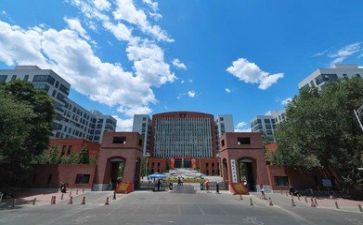 2023高校教师心得体会8篇