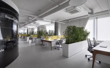 公司年总结及工作计划参考5篇