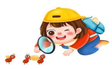 观察蚂蚁作文600字6篇