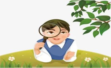 观察作文三年级300字5篇