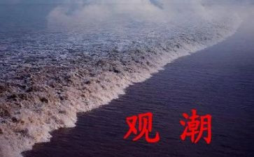 观潮作文300字最新8篇
