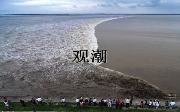 观潮作文300字推荐7篇