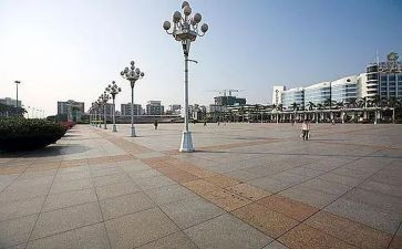 在广场的蟋蟀读后感300字8篇