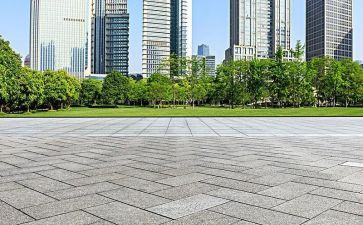 我在广场的蟋蟀读后感参考8篇