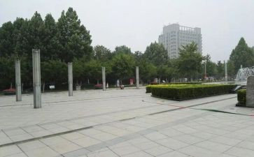 蟋蟀广场的蟋蟀读后感5篇