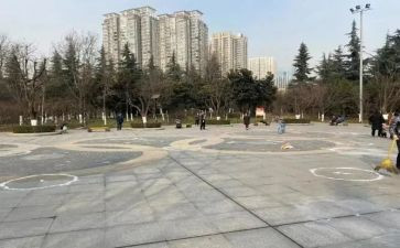 蟋蟀广场的蟋蟀读后感参考5篇