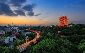 广东春节作文最新8篇