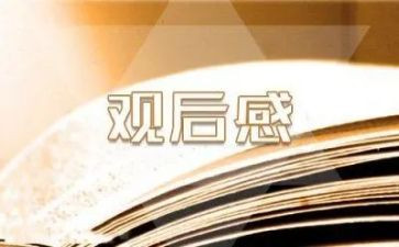 元宵晚会观后感作文5篇