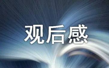 去陵园观后感精选8篇
