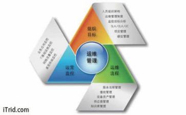 教师管理心得模板7篇