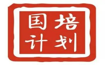 国培计划教师个人研修计划通用7篇