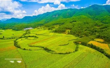 2023国土所工作报告5篇