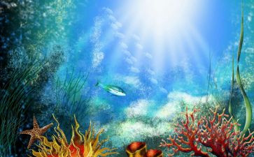 海底两万里第3章读后感5篇