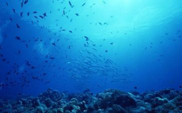 海底捞读后感400字最新8篇
