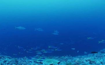 海海底两万里心得体会最新5篇