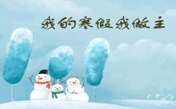 寒假计划作文800字5篇
