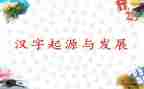 写关于汉字的调查报告5篇