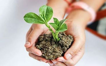 呵护眼睛班会教案6篇