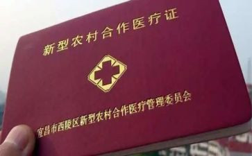 农村合疗申请书最新8篇