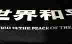 教师观看《为了和平》心得5篇