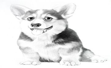 小班古诗《画》教案5篇